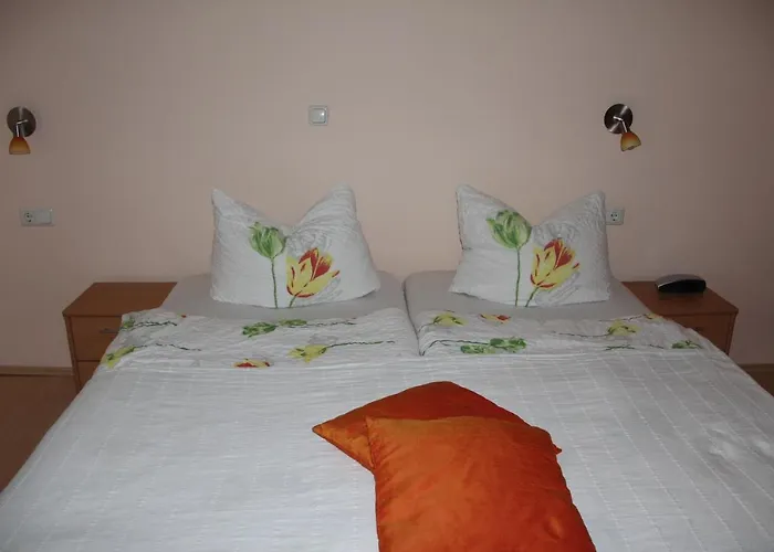 Gastehaus Weingut Rossler *